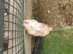 -前小桔亲子创意农场·草莓采摘·露营烧烤