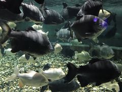 -成都浩海立方海洋公园