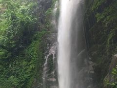 -莫里热带雨林景区