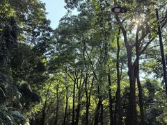 -广州市帽峰山景区