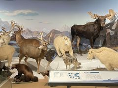 -陕西自然博物馆