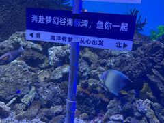 -横店影视城梦幻谷园区