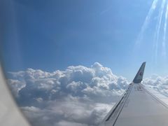 -恩宁刘福记(东华东路店)