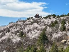 -白水寺森林公园