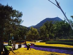 -佛慧山