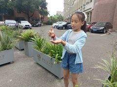 -西南交通大学(九里校区)