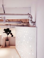 -I+造型烫发染发
