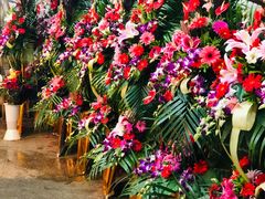 -双季花艺园艺市场(浦东店)