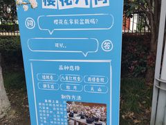 -高东镇樱花园