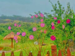 -潭柘厚院(桑峪村店)