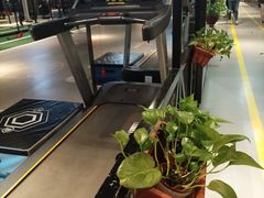 -银吉姆健身(平江万达馆)