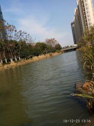 点击看大图 -侨治发型