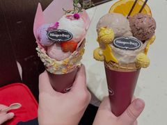 -哈根达斯(合肥天鹅湖店)