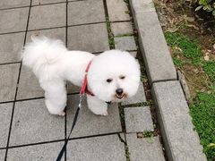 -艾贝尔宠物医院 ·内科全科(梁溪路店)
