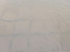 -东平国家森林公园