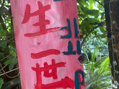 -呀路古热带植物园