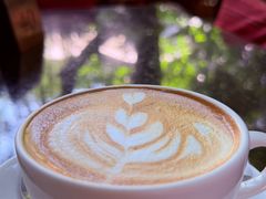 -Fern Forest Cafe