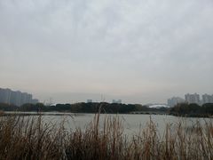 -昆山城市生态森林公园