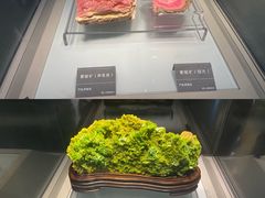 -安徽省地质博物馆