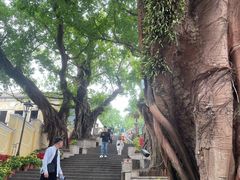 -龙环葡韵住宅式博物馆