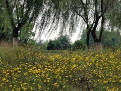 -江阴敔山湖公园