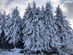 -太子岭滑雪场