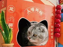 -鱼上·烤鱼(万象城店)