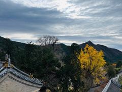 -潭柘寺景区