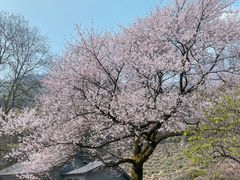 -莫干山风景区