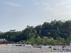 -三水森林公园