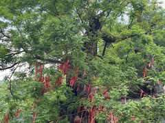 -水峪民俗村
