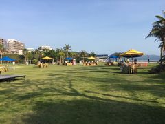 -采粤轩中餐厅(惠州金海湾喜来登度假酒店)