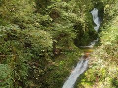 -牛背梁国家森林公园