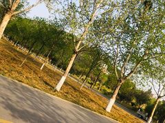 -山东师范大学(千佛山校区)
