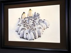 -罗红摄影艺术馆