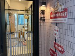 -有喵·猫咖·狗咖·30几只猫10只小狗(岗厦店)