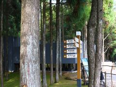 -玉苍山国家森林公园