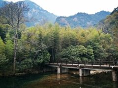 -祁门牯牛降观音堂风景区
