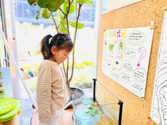 -硅谷蒙学幼儿园