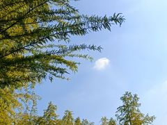 -梁鸿国家湿地公园