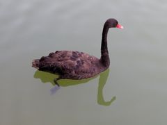 -广州白江湖森林公园