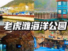 -大连老虎滩海洋公园