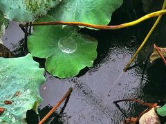 -军山湖云水间水上餐厅(进贤店)