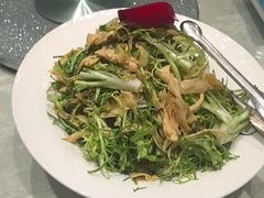 -海派美食·家宴海鲜青岛菜·石锅鲽鱼头(东方城店)