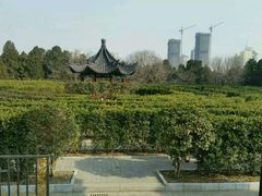 -南阳卧龙岗武侯祠