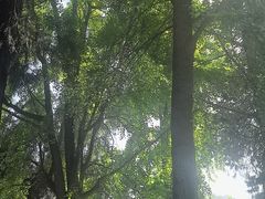 -万寿八仙宫