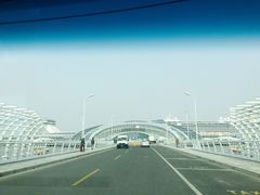 -吴淞口国际邮轮码头-停车场