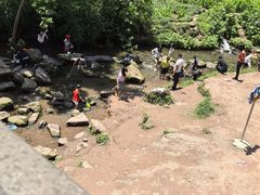 -重庆彩云湖湿地公园