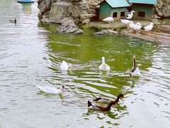 -团结湖公园