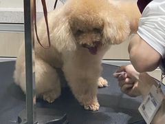 -宠颐生动物医院·小陆分院
